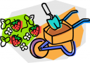 Garden Clipart