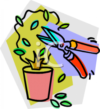 Garden Clipart