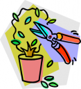 Garden Clipart