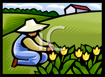 Garden Clipart