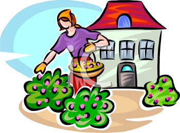 Garden Clipart