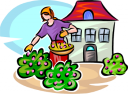 Garden Clipart