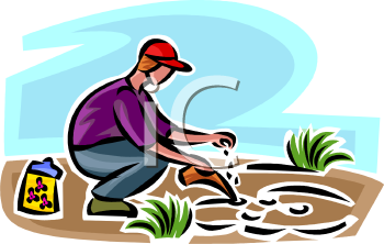 Garden Clipart