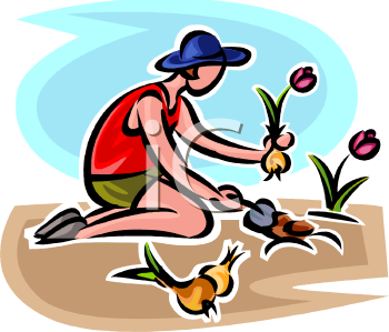 Garden Clipart