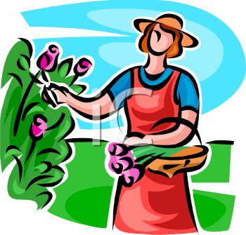 Garden Clipart