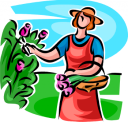 Garden Clipart