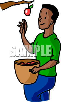 Apple Clipart