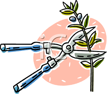 Garden Clipart