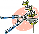 Garden Clipart