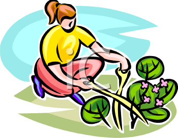 Garden Clipart