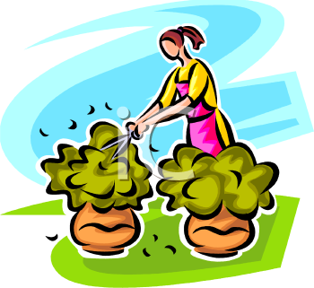 Garden Clipart