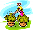 Garden Clipart