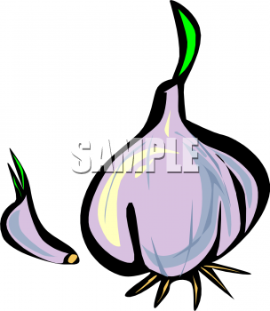 Garlic Clipart