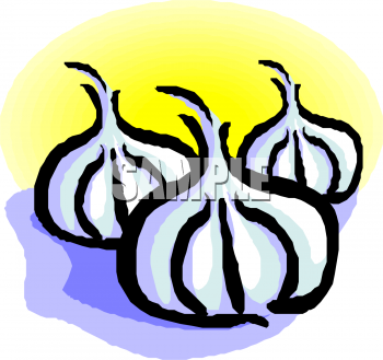 Garlic Clipart