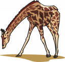 Giraffe Clipart