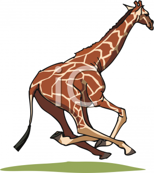 Giraffe Clipart