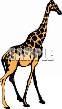 Giraffe Clipart