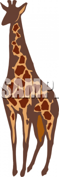 Giraffe Clipart