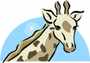 Giraffe Clipart