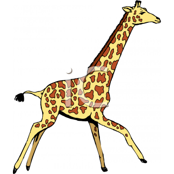 Giraffe Clipart