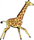 Giraffe Clipart