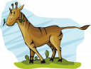 Horse Clipart