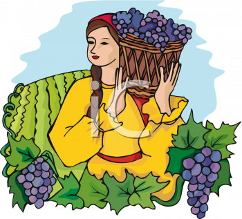 Grape Clipart