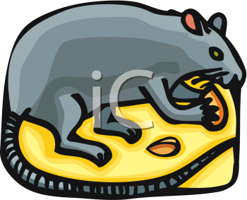 Cheese Clipart