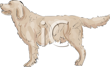 Dog Clipart