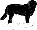 Dog Clipart