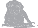 Dog Clipart