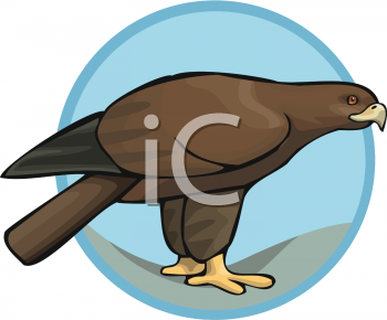 Eagle Clipart