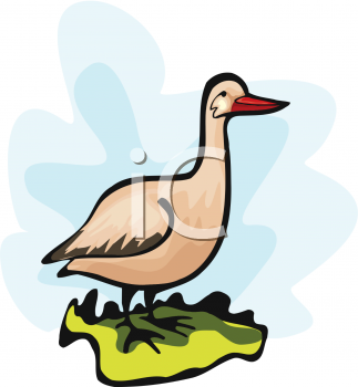 Grass Clipart