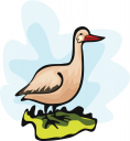 Duck Clipart