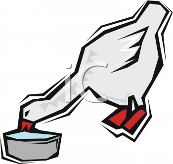 Swan Clipart