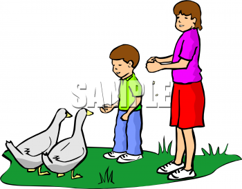 Swan Clipart