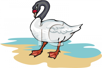 Swan Clipart