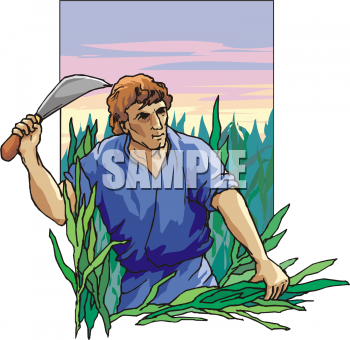 Grain Clipart