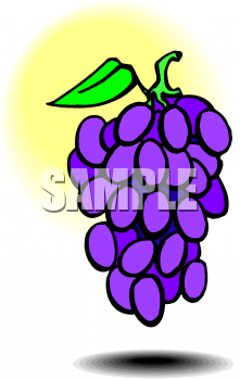 Grape Clipart