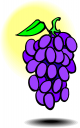 Grape Clipart