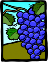 Grape Clipart