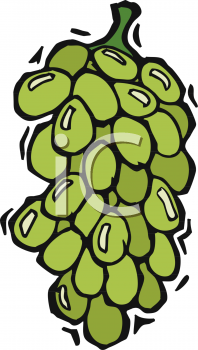 Grape Clipart