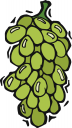 Grape Clipart