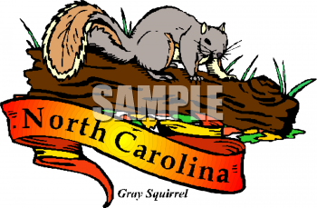 Squirrel Clipart