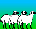 Sheep Clipart