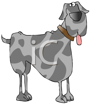 Dog Clipart