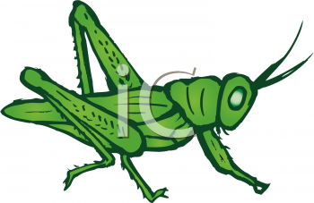 Bug Clipart