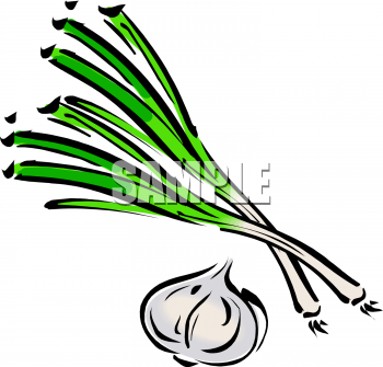 Onion Clipart