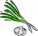 Onion Clipart