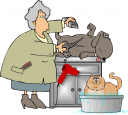 Cat Clipart